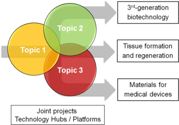 Topic structure